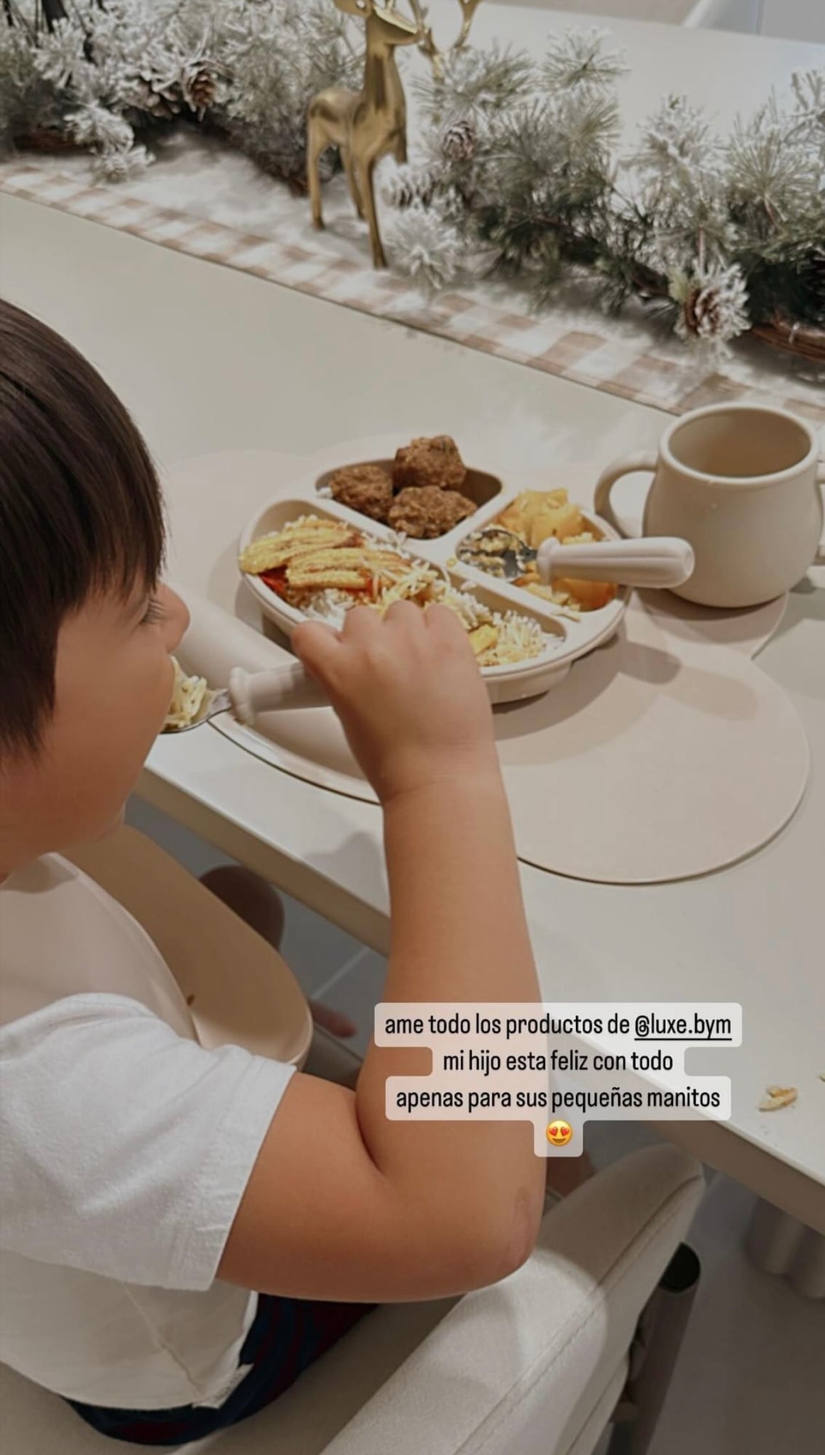 Meal Set BUNDLE - Oat